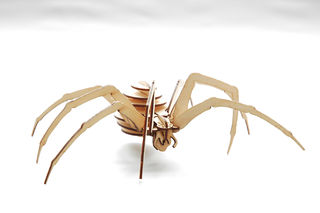 Kitset Katipo Spider