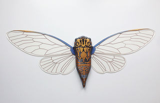 Blue Kihikihi (Cicada)